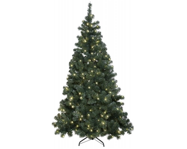 Star Trading 609-01 LED-Weihnachtsbaum "Ottawa", beleuchtet, outdoor, ca. 210x120 cm, 260 warmwhite